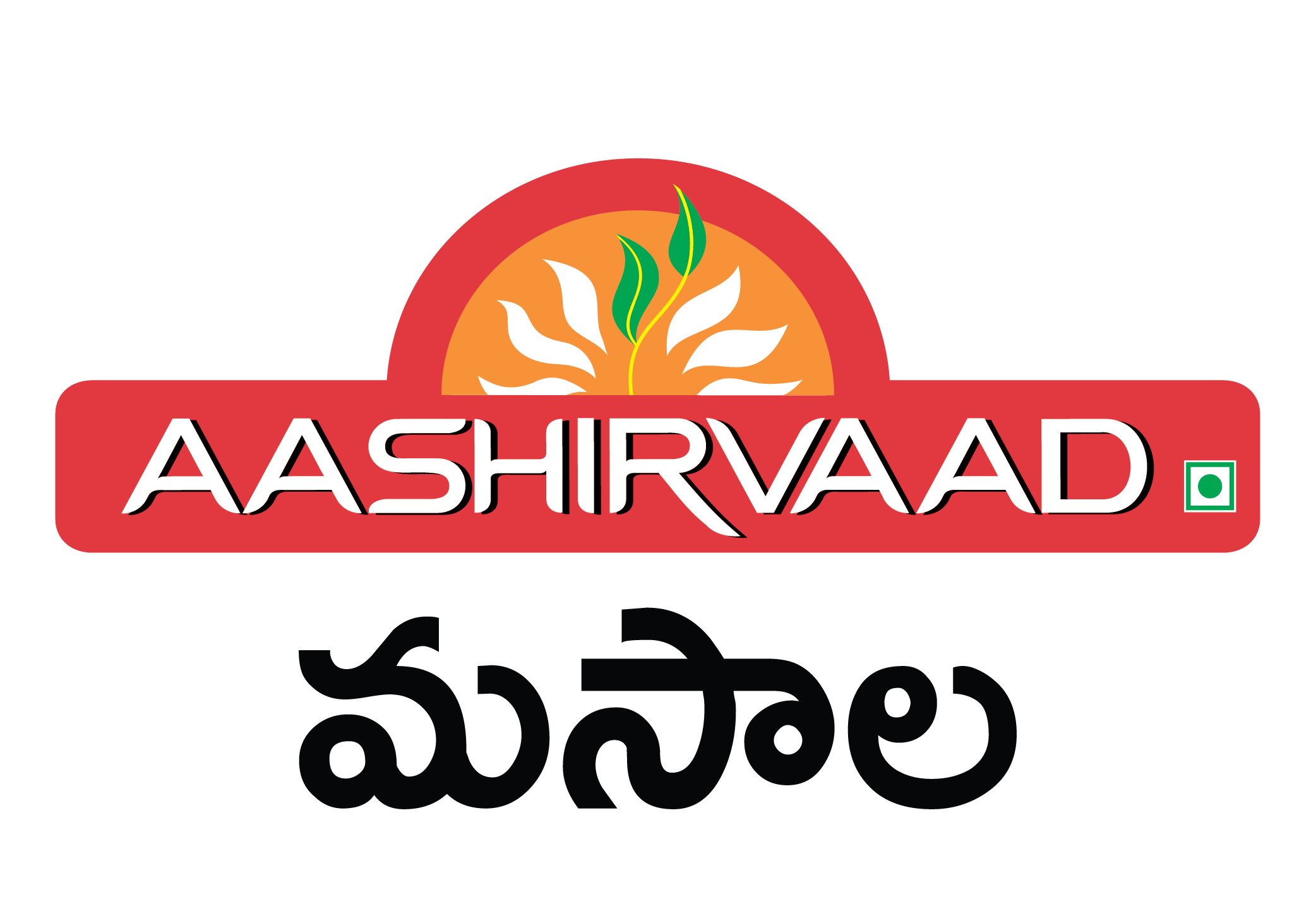 Aashirvaad Spices